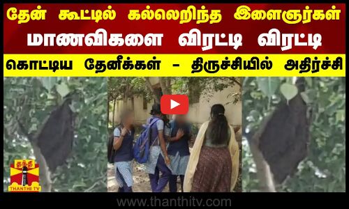 தேன் கூட்டில் கல்லெறிந்த இளைஞர்கள்... மாணவிகளை விரட்டி விரட்டி  கொட்டிய தேனீக்கள்