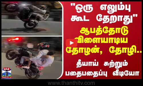ஒரு எலும்பு கூட தேறாது - ஆபத்தோடு விளையாடிய தோழன், தோழி.. தீயாய் சுற்றும் பதைபதைப்பு வீடியோ
