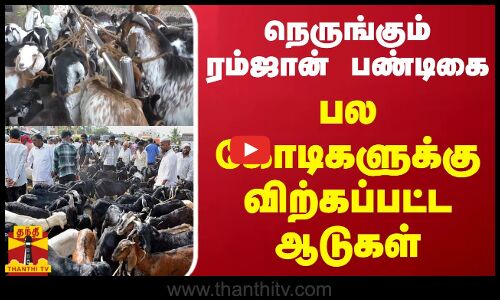 நெருங்கும் ரம்ஜான் பண்டிகை... பல கோடிகளுக்கு விற்கப்பட்ட ஆடுகள்