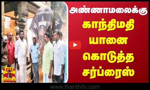 அண்ணாமலைக்கு நெல்லையப்பர் கோவில் காந்திமதி யானை கொடுத்த சர்ப்ரைஸ்