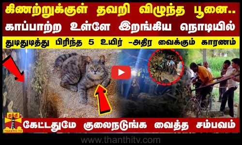 கிணற்றுக்குள் தவறி விழுந்த பூனை... காப்பாற்ற உள்ளே இறங்கிய நொடியில் துடிதுடித்து பிரிந்த 5 உயிர் -அதிர வைக்கும் காரணம்
