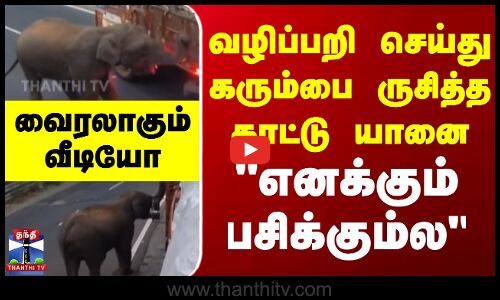 வழிப்பறி செய்து கரும்பை ருசித்த காட்டு யானை - வைரலாகும் வீடியோ