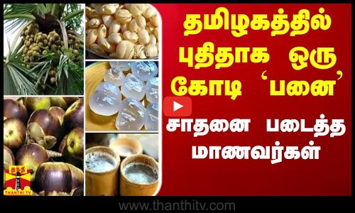 தமிழகத்தில் புதிதாக ஒரு கோடி பனை விதை... சாதனை  படைத்த மாணவர்கள்