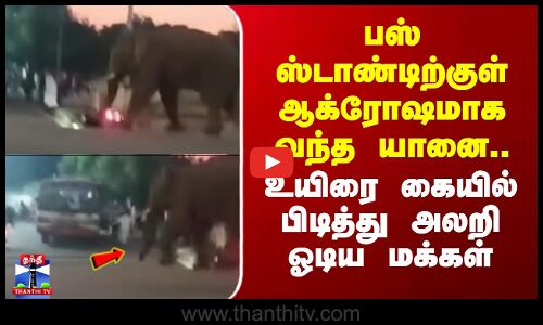 Elephant | பஸ் ஸ்டாண்டிற்குள் ஆக்ரோஷமாக வந்த யானை.. உயிரை கையில் பிடித்து அலறி ஓடிய மக்கள்