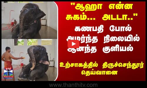 கணபதி போல் அமர்ந்த நிலையில் ஆனந்த குளியல்- திருச்செந்தூர் தெய்வானை உற்சாகம்