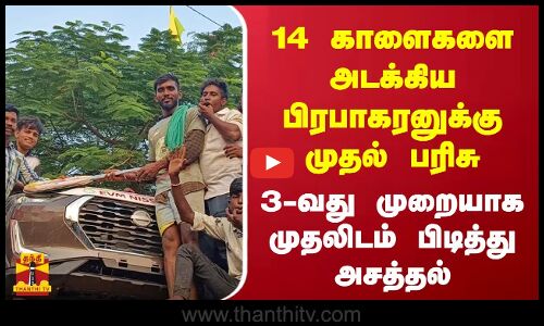 14 காளைகளை அடக்கிய பிரபாகரனுக்கு முதல் பரிசு3-வது முறையாக முதலிடம் பிடித்து அசத்தல்