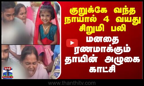 குறுக்கே வந்த நாயால் 4 வயது சிறுமி பலி - மனதை ரணமாக்கும் தாயின் அழுகை காட்சி