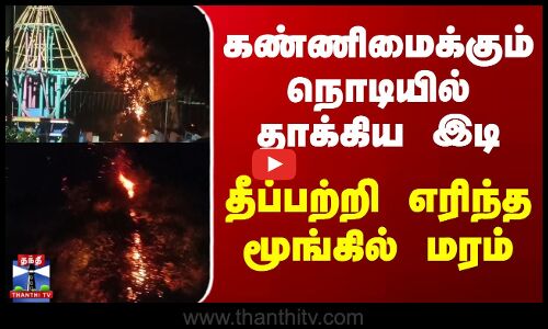 Kallakurichi Thunder Attack | கண்ணிமைக்கும் நொடியில் தாக்கிய இடி - தீப்பற்றி எரிந்த மூங்கில் மரம்