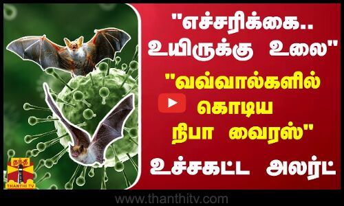 எச்சரிக்கை.. உயிருக்கு உலை - வவ்வால்களில் கொடிய நிபா வைரஸ் - உச்சகட்ட அலர்ட்