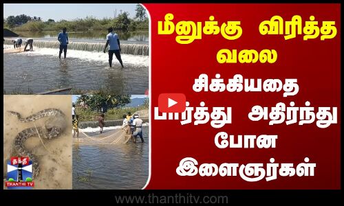 Fish | Python | மீனுக்கு விரித்த வலை - சிக்கியதை பார்த்து அதிர்ந்து போன இளைஞர்கள்