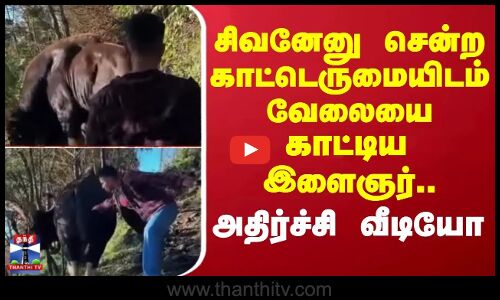 Kodaikanal | சிவனேனு சென்ற காட்டெருமையிடம் வேலையை காட்டிய இளைஞர்.. அதிர்ச்சி வீடியோ