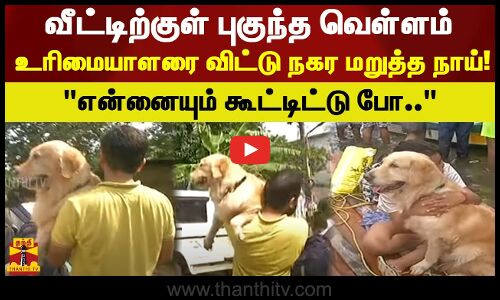 வீட்டிற்குள் புகுந்த வெள்ளம் உரிமையாளரை விட்டு நகர மறுத்த நாய்! என்னையும் கூட்டிட்டு போ.. 