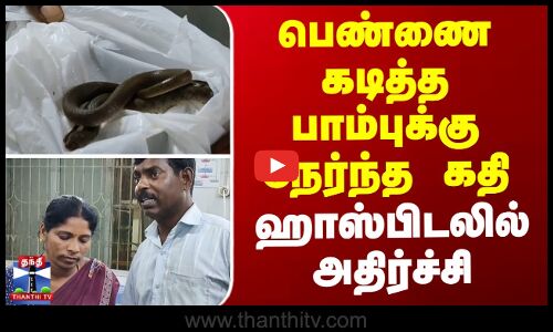பெண்ணை கடித்த பாம்புக்கு நேர்ந்த கதி.. ஹாஸ்பிடலில் அதிர்ச்சி