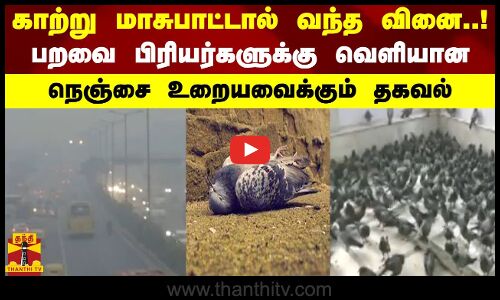 டெல்லியில் காற்று மாசுபாட்டால் வந்த வினை..! -பறவை பிரியர்களுக்கு வெளியான நெஞ்சை உறையவைக்கும் தகவல்