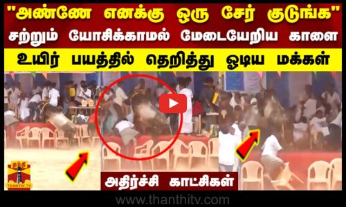 அண்ணே எனக்கு ஒரு சேர் குடுங்கயோசிக்காமல் மேடையேறிய காளை..உயிர் பயத்தில் தெறித்து ஓடிய மக்கள்