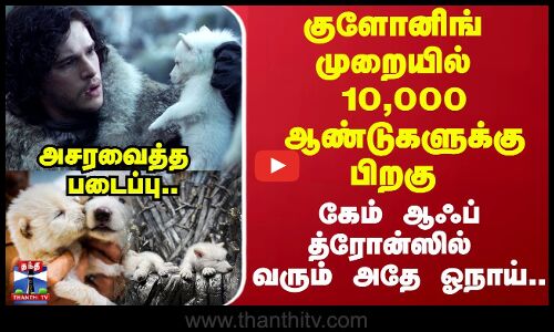 குளோனிங்  முறையில் 10,000 ஆண்டுகளுக்கு பிறகு..`GOT-ல் வரும் அதே ஓநாய்