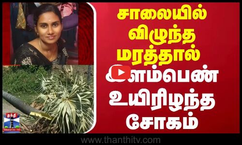 Namakkal | Tragedy |  சாலையில் விழுந்த மரத்தால் இளம்பெண் உயிரிழந்த சோகம்