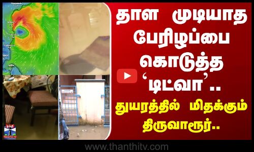Ditwah Cyclone | Thiruvarur | தாள முடியாத பேரிழப்பை கொடுத்த `டிட்வா-துயரத்தில் மிதக்கும் திருவாரூர்