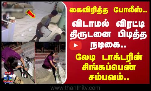 கைவிரித்த போலீஸ்..விடாமல் விரட்டி திருடனை பிடித்த நடிகை..