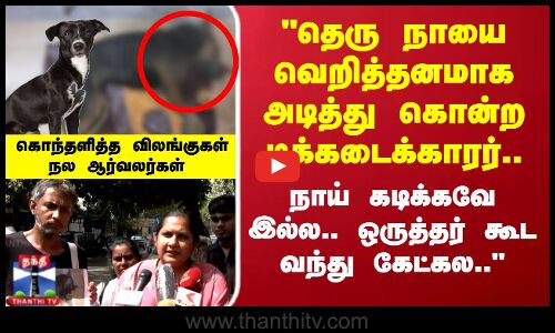 தெரு நாயை வெறித்தனமாக அடித்து கொன்ற டீக்கடைக்காரர்.. கொந்தளித்த விலங்குகள் நல ஆர்வலர்