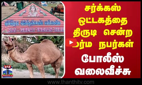 சர்க்கஸ் ஒட்டகத்தை திருடி சென்ற மர்ம நபர்கள் - போலீஸ் வலைவீச்சு