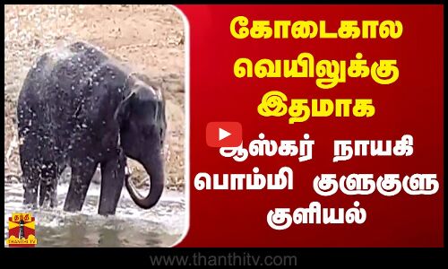கோடைகால வெயிலுக்கு இதமாக ஆஸ்கர் நாயகி பொம்மி குளுகுளு குளியல்
