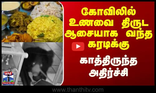 Bear || கோவிலில் உணவை திருட ஆசையாக வந்த கரடிக்கு காத்திருந்த அதிர்ச்சி