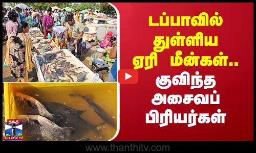 டப்பாவில் துள்ளிய ஏரி மீன்கள்.. குவிந்த அசைவப் பிரியர்கள்