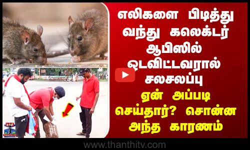 Salem Rat Issue | சேலம் மாவட்ட ஆட்சியர் அலுவலகத்தில் எலிகளைப் பிடித்து வந்து விட்ட நபரால் சலசலப்பு