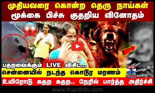 நாயை வளர்த்து.. நாயால் சாவு.. சென்னையில் நடந்த கொடூர மரணம் பதறவைக்கும் லைவ் விசிட்...