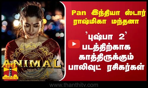 Pan இந்தியா ஸ்டார் ராஷ்மிகா மந்தனா புஷ்பா 2 படத்திற்காக காத்திருக்கும் பாலிவுட் ரசிகர்கள்