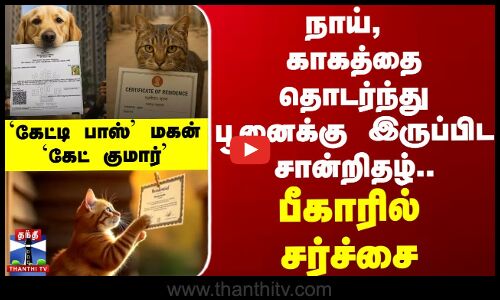 நாய், காகத்தை தொடர்ந்து பூனைக்கு இருப்பிட சான்றிதழ்.. கேட்டி பாஸ் மகன் கேட் குமார் 