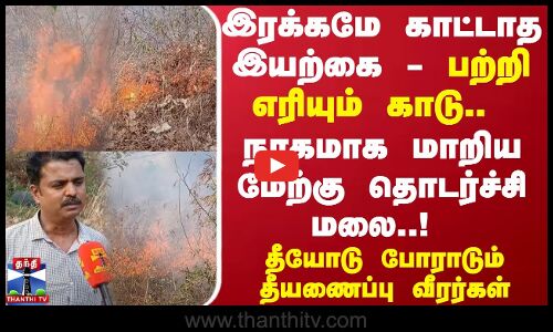 பற்றி எரியும் காடு.. நரகமாக மாறிய மேற்கு தொடர்ச்சி மலை..! தீயோடு போராடும் தீயணைப்பு வீரர்கள்