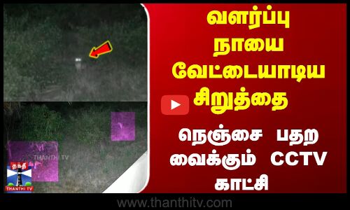 வளர்ப்பு நாயை வேட்டையாடிய சிறுத்தை நெஞ்சை பதற வைக்கும் CCTV காட்சி