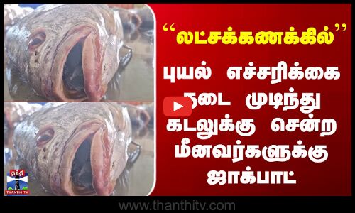 Karaikal | புயல் எச்சரிக்கை தடை முடிந்து கடலுக்கு சென்ற மீனவர்களுக்கு ஜாக்பாட்