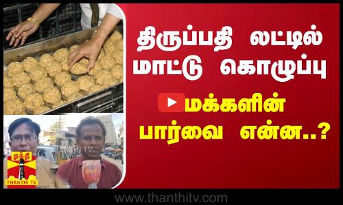 திருப்பதி லட்டில் மாட்டு கொழுப்பு - மக்களின் பார்வை என்ன..? | Public Opinion
