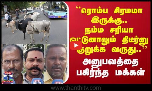 நம்ம சரியா ஓட்டுனாலும் திடீர்னு குறுக்க வருது.. | அனுபவத்தை பகிர்ந்த மக்கள்