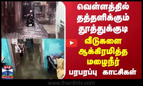 வெள்ளத்தில் தத்தளிக்கும் தூத்துக்குடி...வீடுகளை ஆக்கிரமித்த மழைநீர் - பரபரப்பு காட்சிகள்