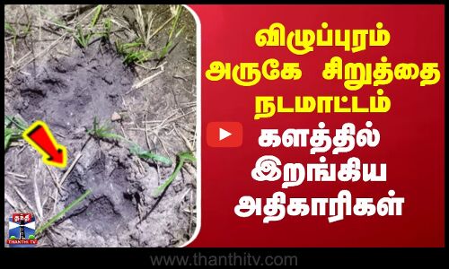 Villupuram Leopard | விழுப்புரம் அருகே சிறுத்தை நடமாட்டம்.. களத்தில் இறங்கிய வனத்துறை