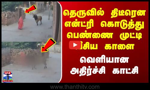 Rajasthan Cow Attack A Women | தெருவில் திடீரென என்ட்ரி கொடுத்து பெண்ணை முட்டி வீசிய காளை