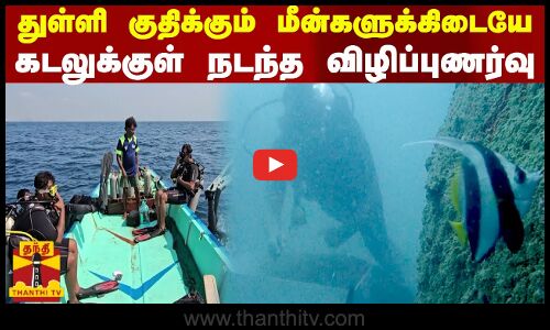 துள்ளி குதிக்கும் மீன்களுக்கிடையே - கடலுக்குள் நடந்த விழிப்புணர்வு