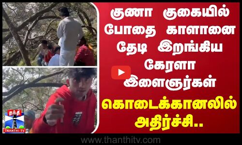 குணா குகையில் போதை காளானை தேடி இறங்கிய கேரளா இளைஞர்கள் - கொடைக்கானலில் அதிர்ச்சி..