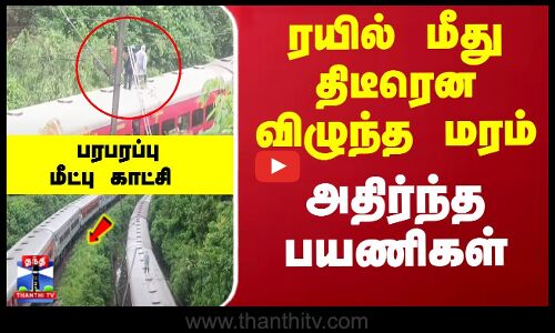 ரயில் மீது திடீரென விழுந்த மரம்... அதிர்ந்த பயணிகள்... பரபரப்பு மீட்பு காட்சி