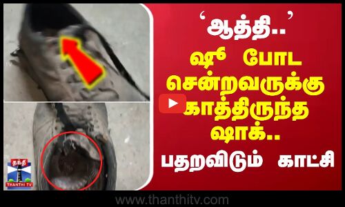 ஆத்தி.. ஷூ போட சென்றவருக்கு காத்திருந்த ஷாக்.. பதறவிடும் காட்சி
