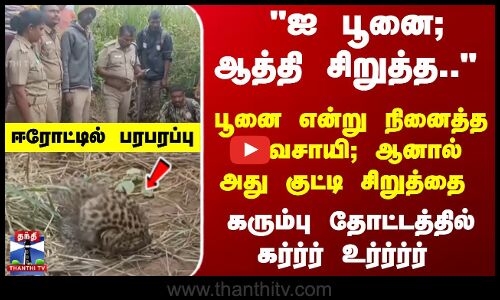 கரும்பு தோட்டத்தில் குட்டிசிறுத்தை அலறிய விவசாயி - ஈரோட்டில் பரபரப்பு