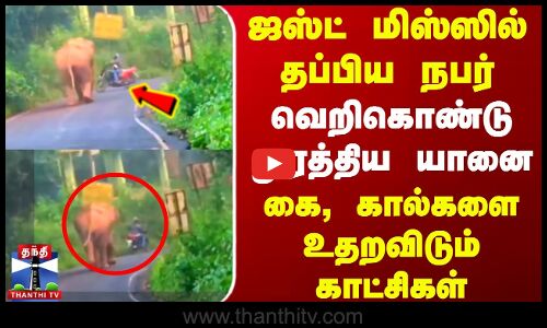 Elephant | ஜஸ்ட் மிஸ்ஸில் தப்பிய நபர்.. வெறிகொண்டு துரத்திய யானை - கை, கால்களை உதறவிடும் காட்சிகள்