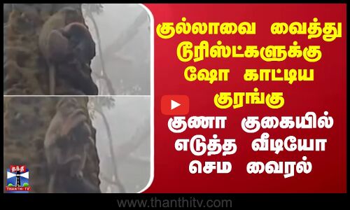 GunaCave | குல்லாவை வைத்து டூரிஸ்ட்களுக்கு ஷோ காட்டிய குரங்கு -குணா குகையில் எடுத்த வீடியோ செம வைரல்