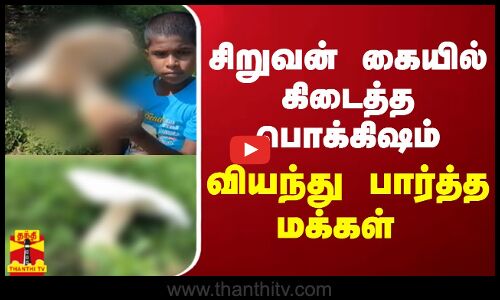 சிறுவன் கையில் கிடைத்த பொக்கிஷம் - வியந்து பார்த்த மக்கள்