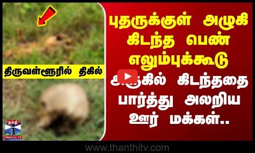 புதருக்குள் அழுகி கிடந்த எலும்புக்கூடு - அருகில் கிடந்ததை பார்த்து அலறிய மக்கள்