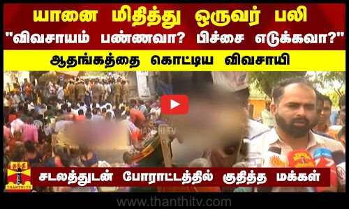 யானை மிதித்து ஒருவர் பலி...விவசாயம் பண்ணவா? பிச்சை எடுக்கவா? - ஆதங்கத்தை கொட்டிய விவசாயி